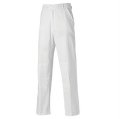 Dickies Painter's trousers (WD824) White